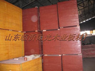 【陽光木業 專業防水 建筑模板 1830 * 915 * 13.5 mm 覆膜 黑皮】價格,廠家,圖片,其他木板材,山東臨沂陽光木業板材廠-