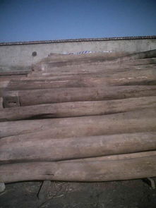 榆木梁高清圖片賞析及全木業(yè)有限責(zé)任公司介紹