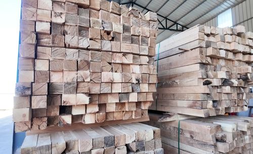 投資億元，新源添新綠——新疆新源縣現代化木材加工廠正式投產，引領木業高質量發展